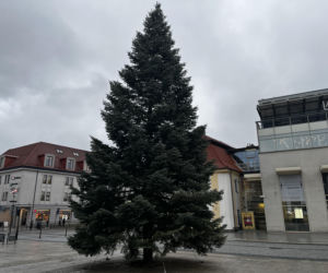 Wielki choinka stanęła na Rynku Kościuszki