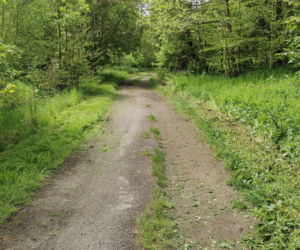 Wigancice Żytawskie