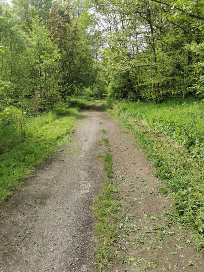 Wigancice Żytawskie