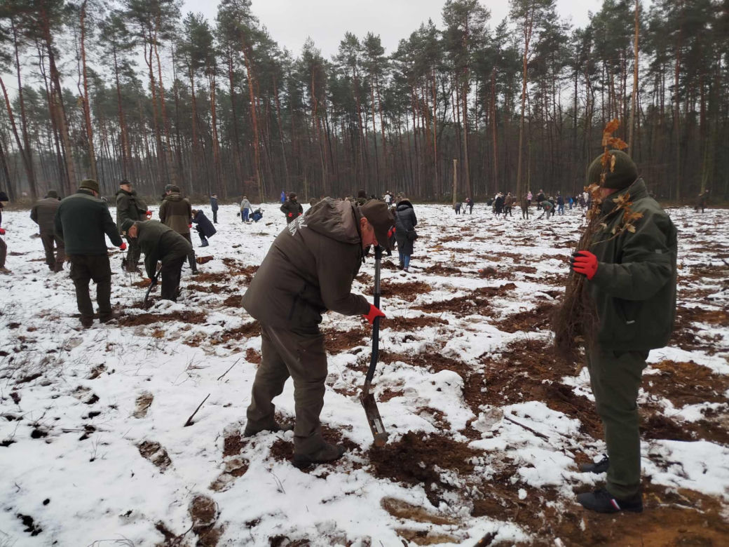 W akcji sadzenia lasu z okazji 80-lecia Nadleśnictwa Siedlce uczestniczyło ponad sto osób