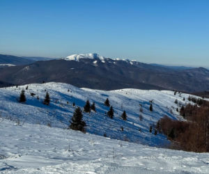 Planujesz ferie zimowe w Bieszczadach? Tych opłat nie unikniesz. Bieszczadzki Park Narodowy przypomina 