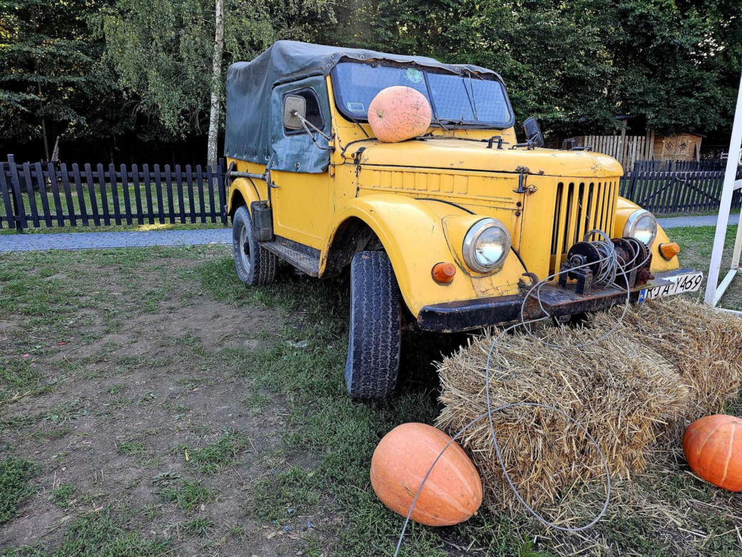 Westernowa farma dyniowa w Radawie.