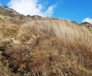 Bieszczady jesienią