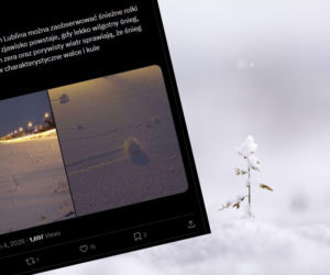 Tajemnicze śnieżne rolki pojawiły się w woj. lubelskim