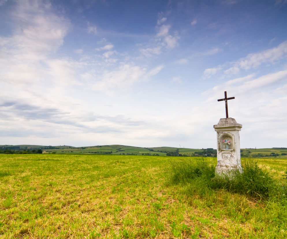 Gloria Victis Elizy Orzeszkowej - strzeszczenie lektury
