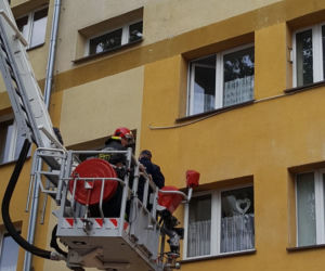 Dziecko stało na parapecie