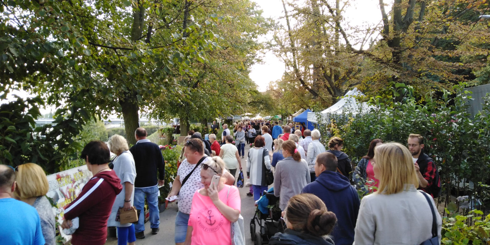 Kiermasz ogrodniczy "Pamiętajcie o ogrodach" w Szczecinie