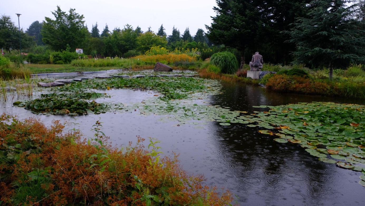 Ogród Botaniczny PAN w Powsinie