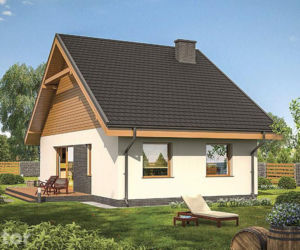 Projekt C346 Elastyczny
