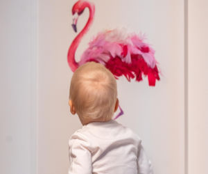 Stasio ma nowy dom. Rodzice pokochali go za zdjęcie z samochodzikiem