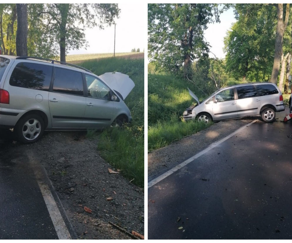 Gałąź spadła na drogę. Kierowca nie zdążył wyhamować. Jedna osoba ranna [ZDJĘCIA]