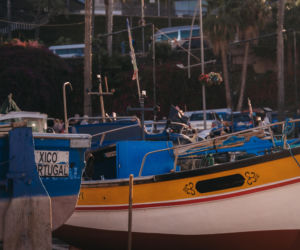 Madera - ostatni punkt naszego rejsu EOZ 2026