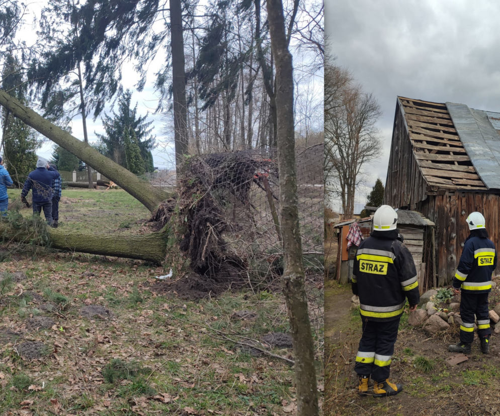 Blisko 150 interwencji siedleckich strażaków w związku z wichurami w ciągu ostatnich dni, interweniowali m.in. druhowie OSP Wiśniew