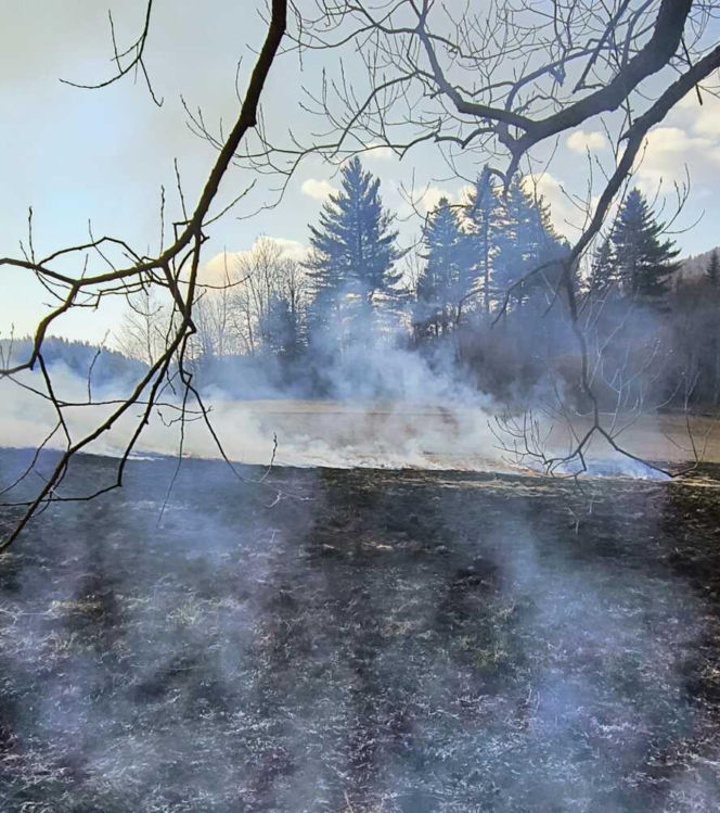 Ktoś podpalił łąkę w Bieszczadach