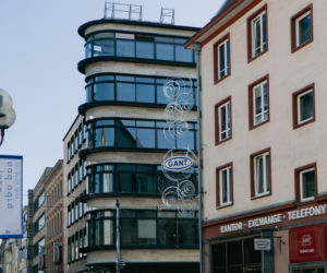 Kameleon we Wrocławiu