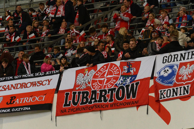 Tłumy na PGE Narodowym w Warszawie! Tak kibicowaliście podczas meczu Polska - Holandia