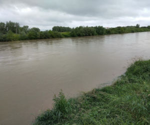Wysoki Dunajec pod Tarnowem! Biała przy Azotach też przybiera