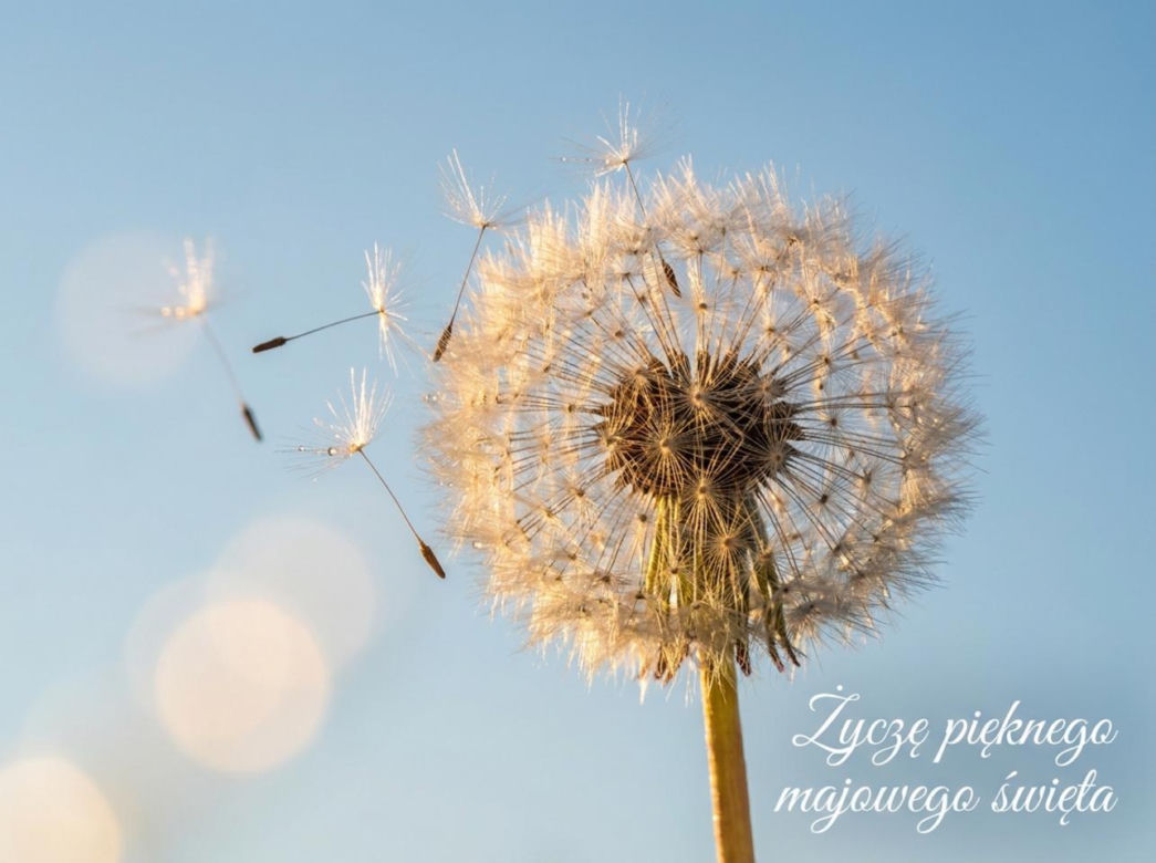 kartka na dzień dobry 1 maja