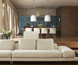 salon i kuchnia ZDJECIA