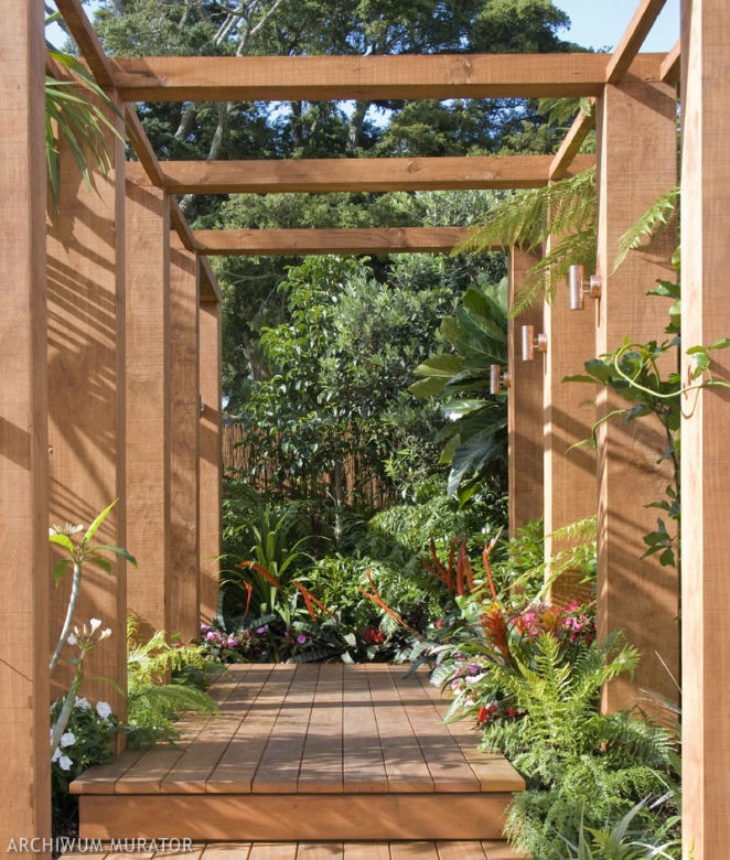 Pergola w ogrodzie