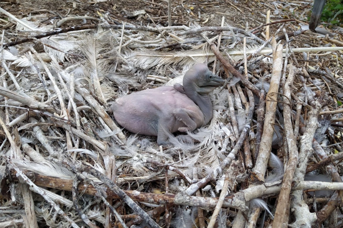 Oto nowi mieszkańcy ZOO w Poznaniu