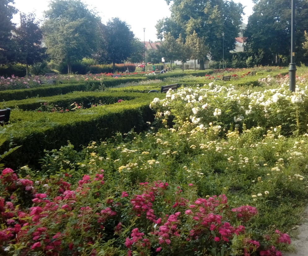 Park Kajki