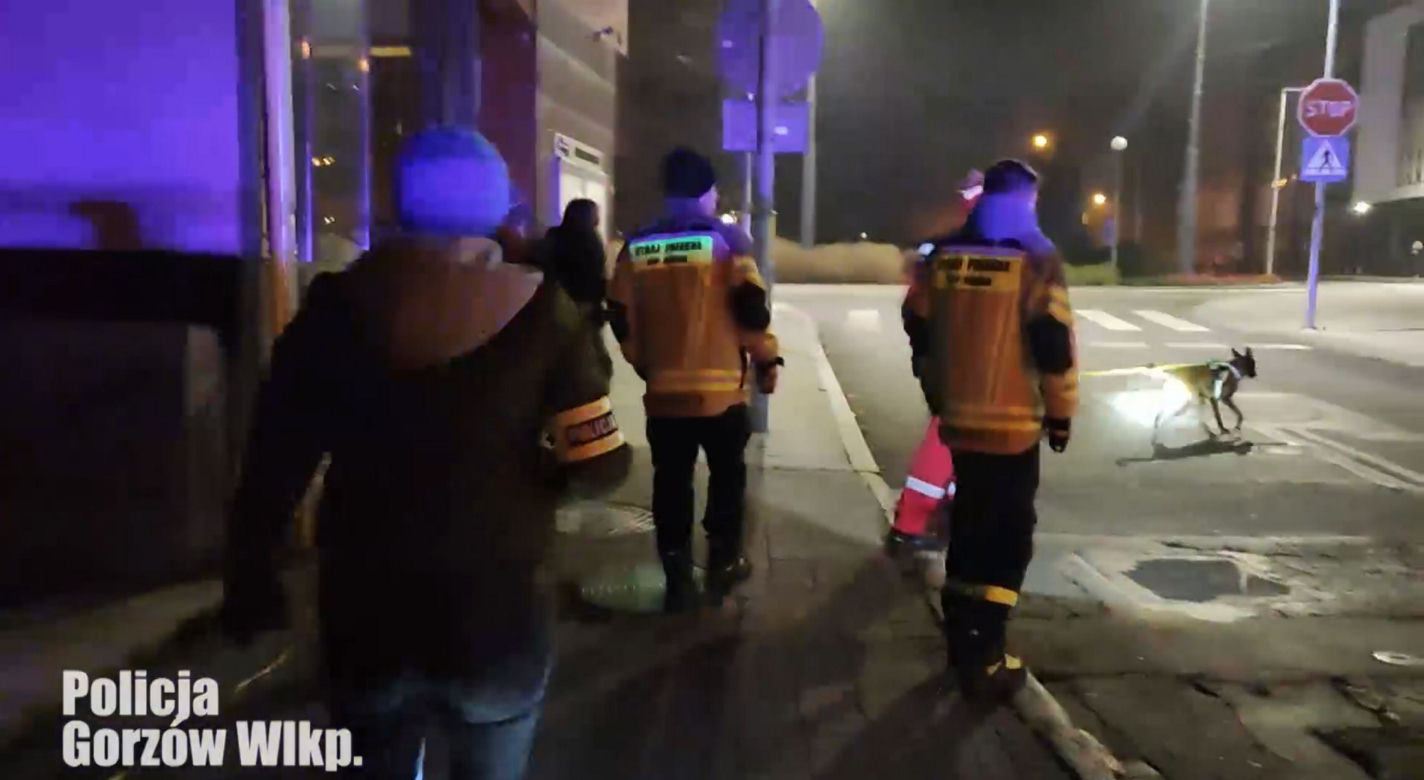 Poszukiwania zaginionego Marcina Jastrzębskiego. Policja przeczesuje cały Gorzów! [ZDJĘCIA]