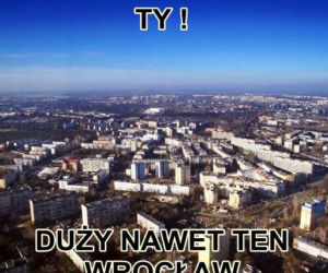 Typowy Wrocławianin