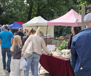 Najkrótsza uliczka w Kaliszu świętuje! Święto Ulicy Niecałej