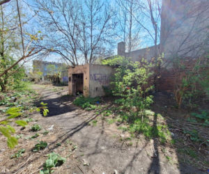 Urodziła i porzuciła dziecko obok pustostanu. Mała Wiktoria cudem przeżyła