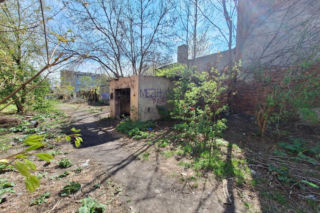 Urodziła i porzuciła dziecko obok pustostanu. Mała Wiktoria cudem przeżyła