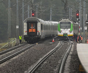 Nagłe zatrzymanie pociągu pod Puławami. Mamy zdjęcia!