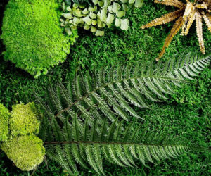 Green Decor