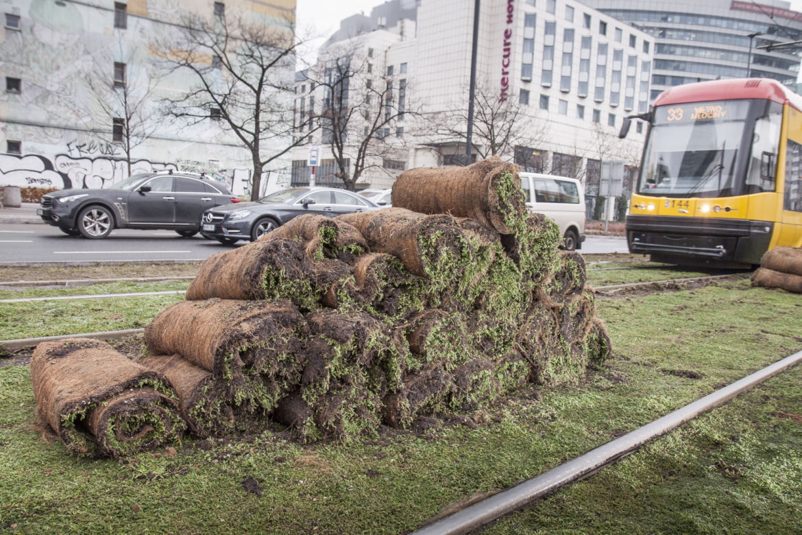 Tramwajarze zazielenili torowiska w centrum 