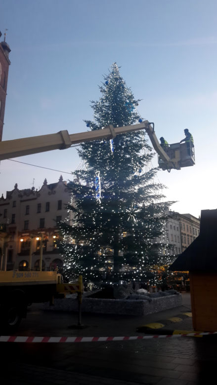 Na krakowskim Rynku pojawiła się już choinka! [GALERIA ZDJĘĆ]
