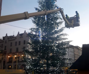 Na krakowskim Rynku pojawiła się już choinka! [GALERIA ZDJĘĆ]