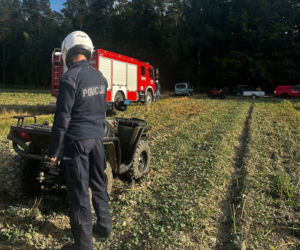Odnalazł się zaginiony nastolatek z Lubyczy Królewskiej. 16-latek cały i zdrowy wrócił do domu