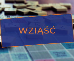 Te BŁĘDY językowe doprowadzają do SZAŁU! Też je słyszysz lub popełniasz?
