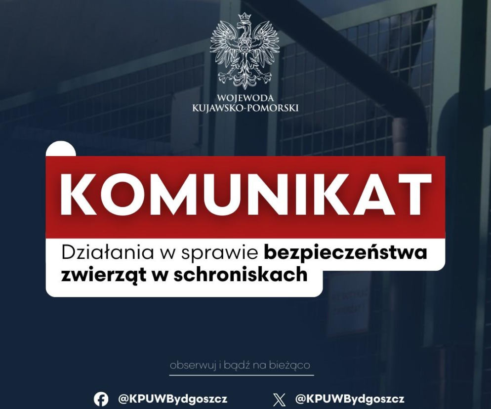 Kontrole w schroniskach dla zwierząt