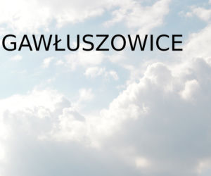 Na tych nazwach miejscowości na Podkarpaciu możesz połamać język