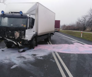 Horror na drodze niedaleko Torunia. Apel do świadków!