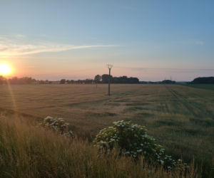 Pogoda na majówkę w Lesznie 2026