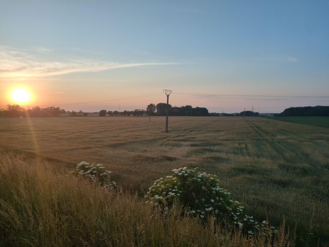 Pogoda na majówkę w Lesznie 2026