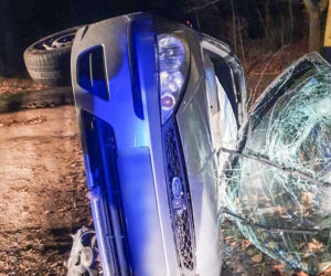 Szaleńcza ucieczka 22-latka przed lubuską policją zakończona na drzewie