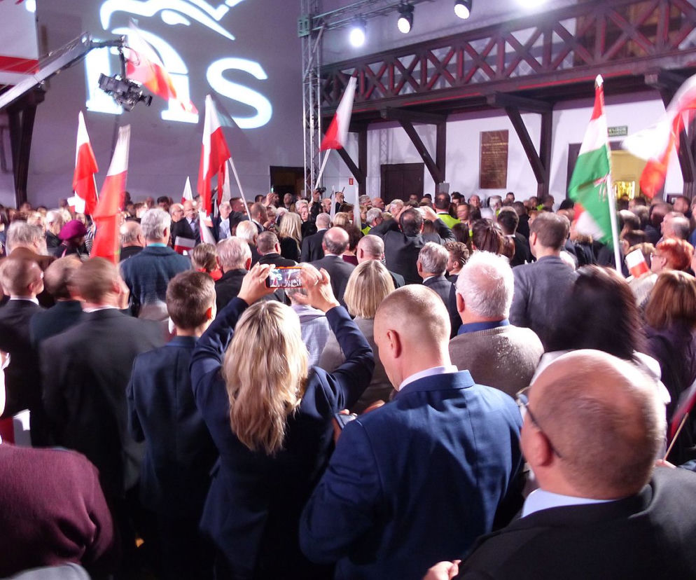 Przedsiębiorca z Kielc MASAKRUJE polityków PiS! Pochowali się jak SZCZURY!