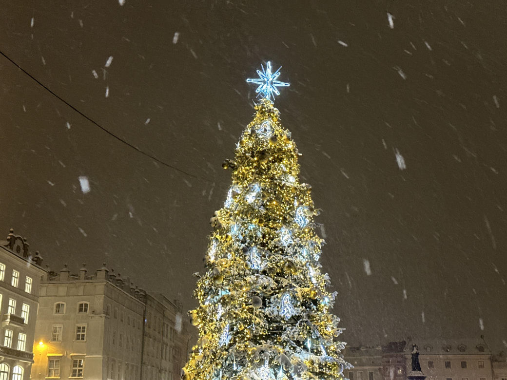 Choinka rozbłysła na Rynku Głównym. Tak wygląda Kraków w zimowej scenerii! 