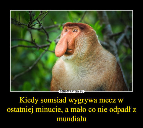 Niemcy - Szwecja 2018: MEMY i ŚMIESZNE OBRAZKI po meczu na MŚ 2018