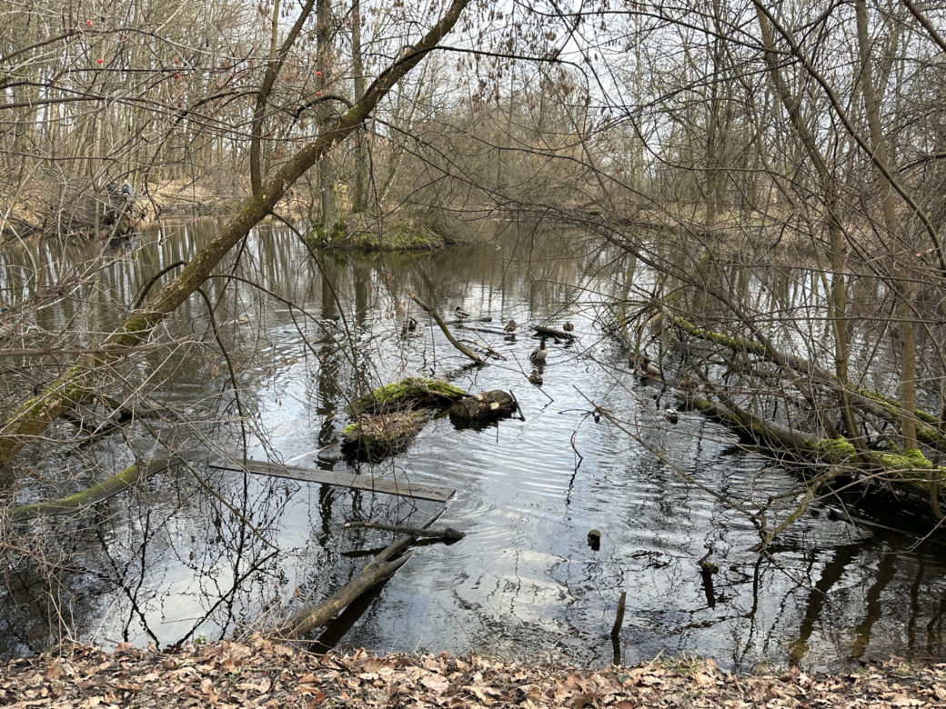 Makabra w Tworkach. W stawie pływały zwłoki mężczyzny. Pilna akcja