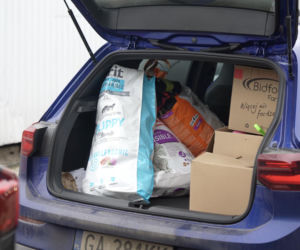 Jawor wykupił cały sklep zoologiczny