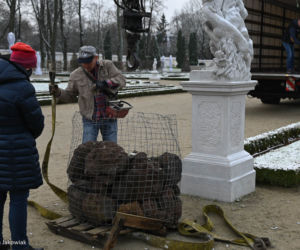 Nowe rzeźby w Ogrodach Branickich. To Flora, Ceres, Bachus i Saturn [ZDJĘCIA]